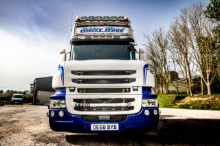 Ashley Wood Recovery